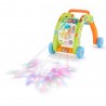 Активные световые ходунки Little Tikes